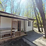 Elmona Kamchia (Varna)