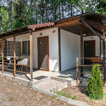 Elmona Kamchia (Varna)